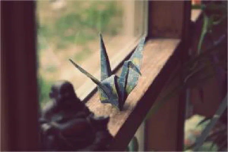 A Paper Swan